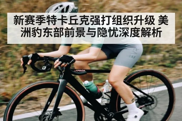 新赛季特卡丘克强打组织升级 美洲豹东部前景与隐忧深度解析